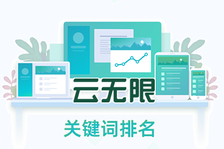 官网排名优化